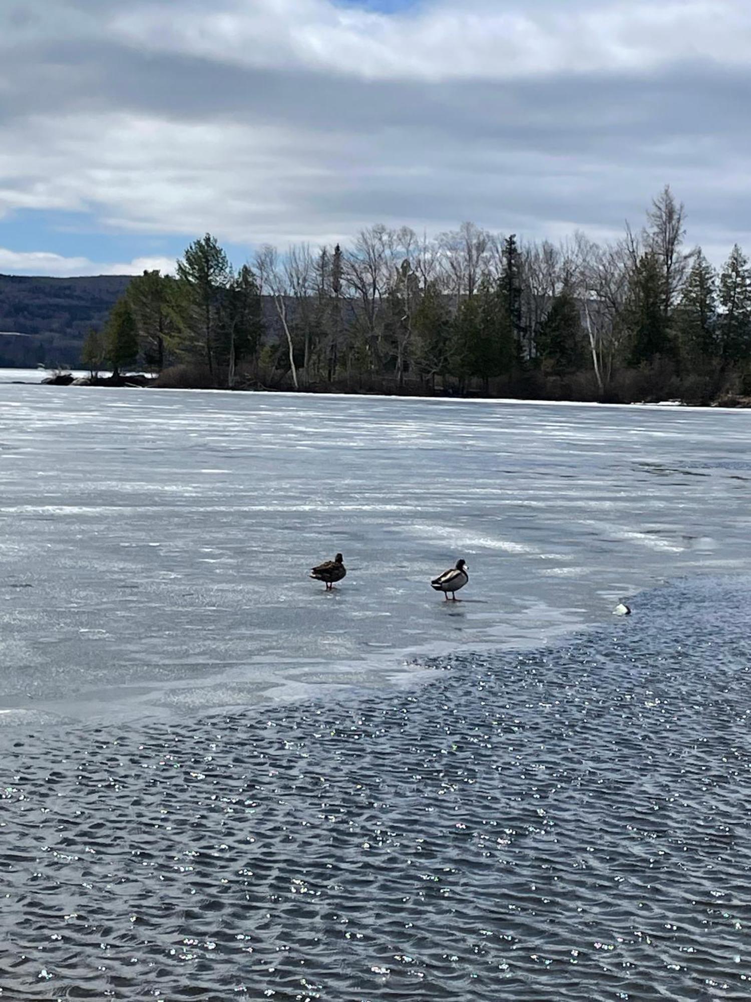 Rangeley Town & Lake Luaran gambar